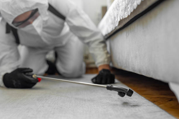 Professional Bed Bug Control technician working in Hamblen County County, TN